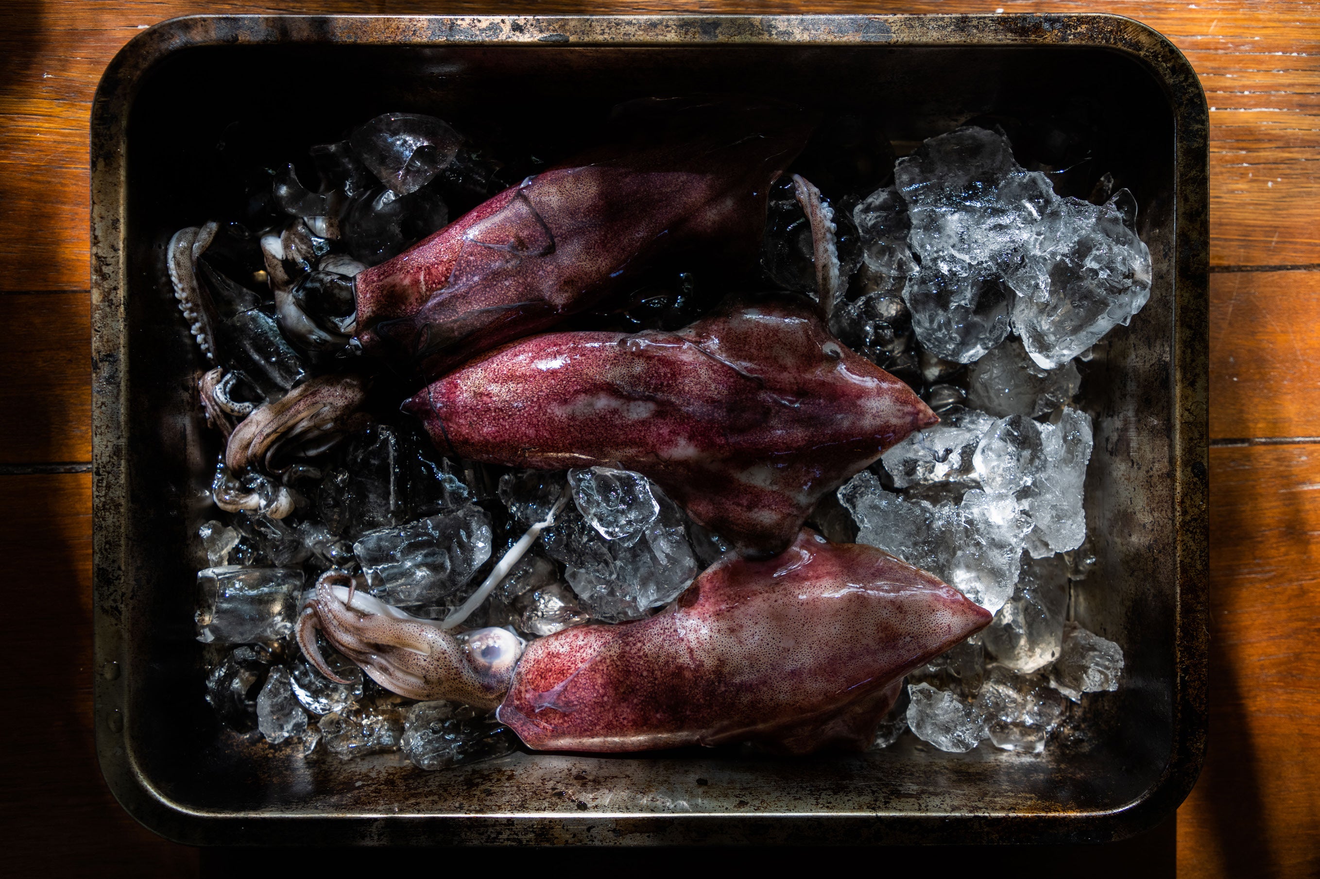 Overhead view of three fresh whole squid on crushed ice in a dark metal tray on a wooden surface in moody low light