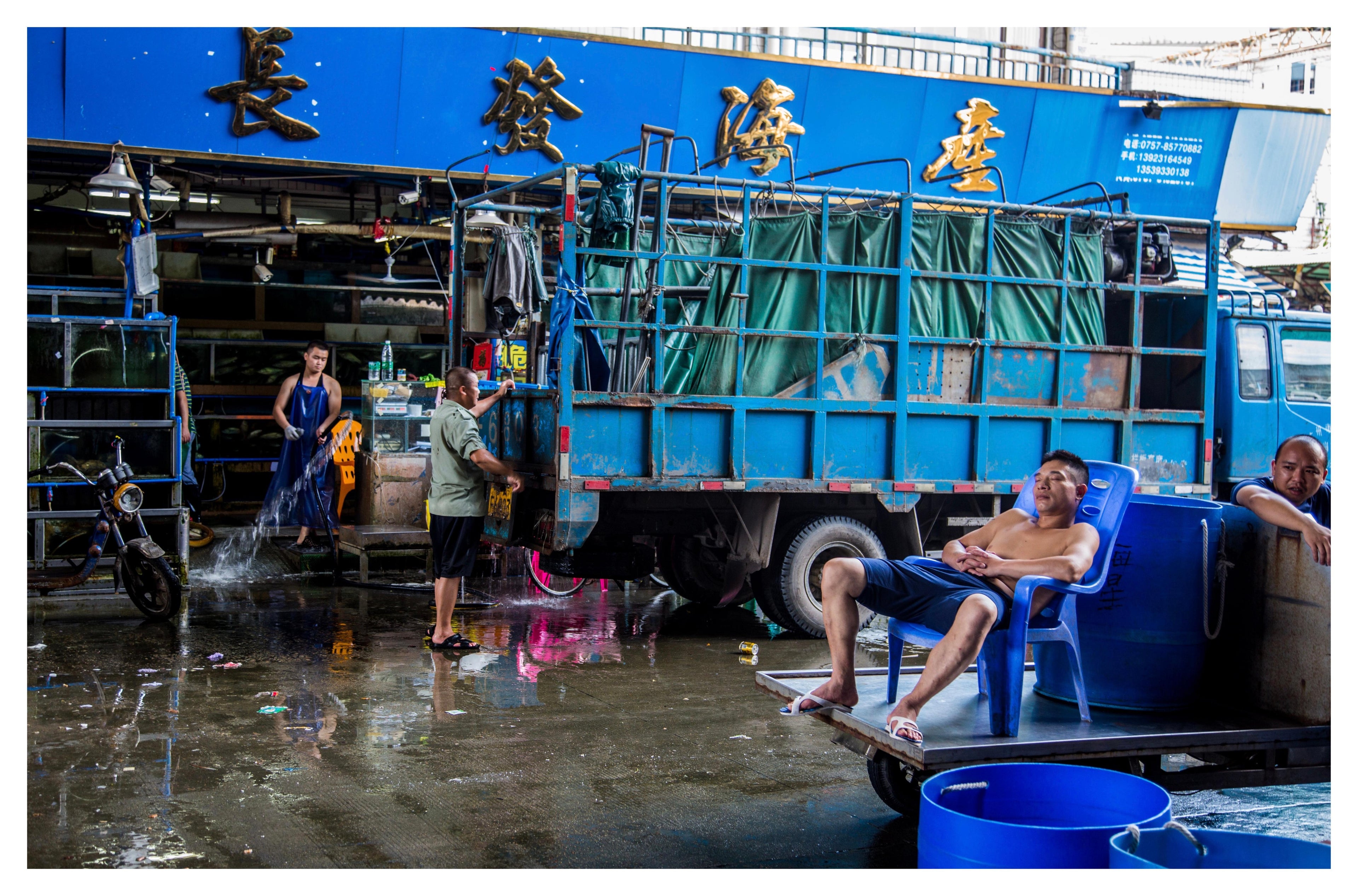 Blue Chair Rest