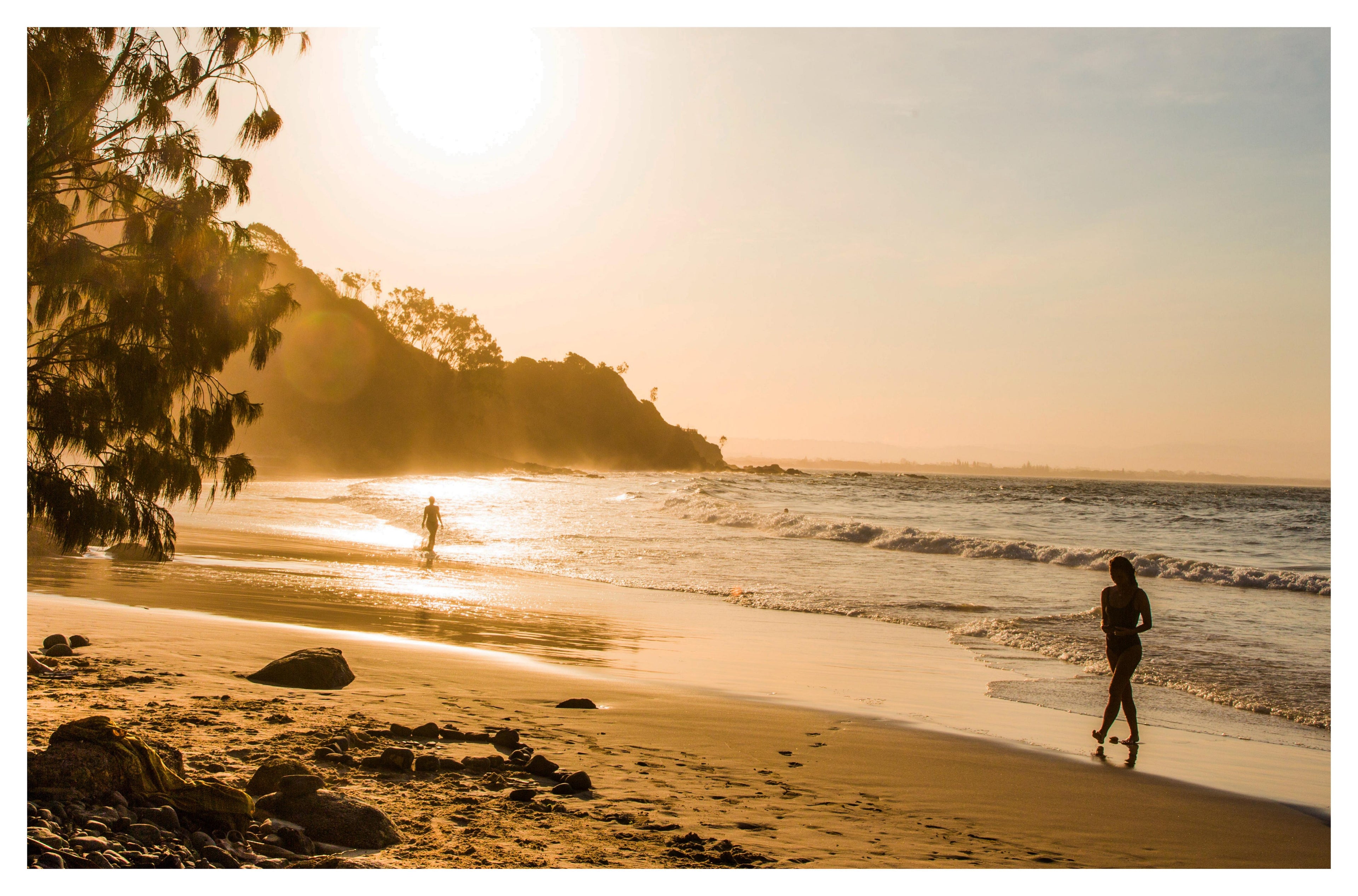 Golden Morning Walk