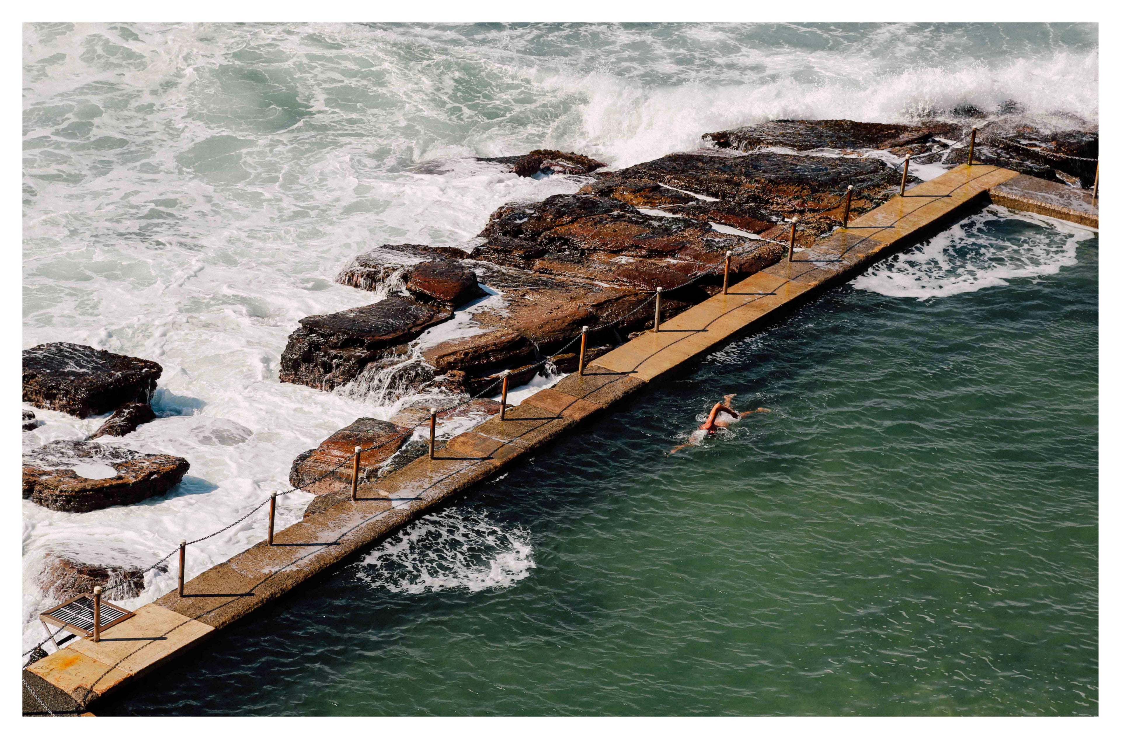 Where the Pacific Meets Concrete