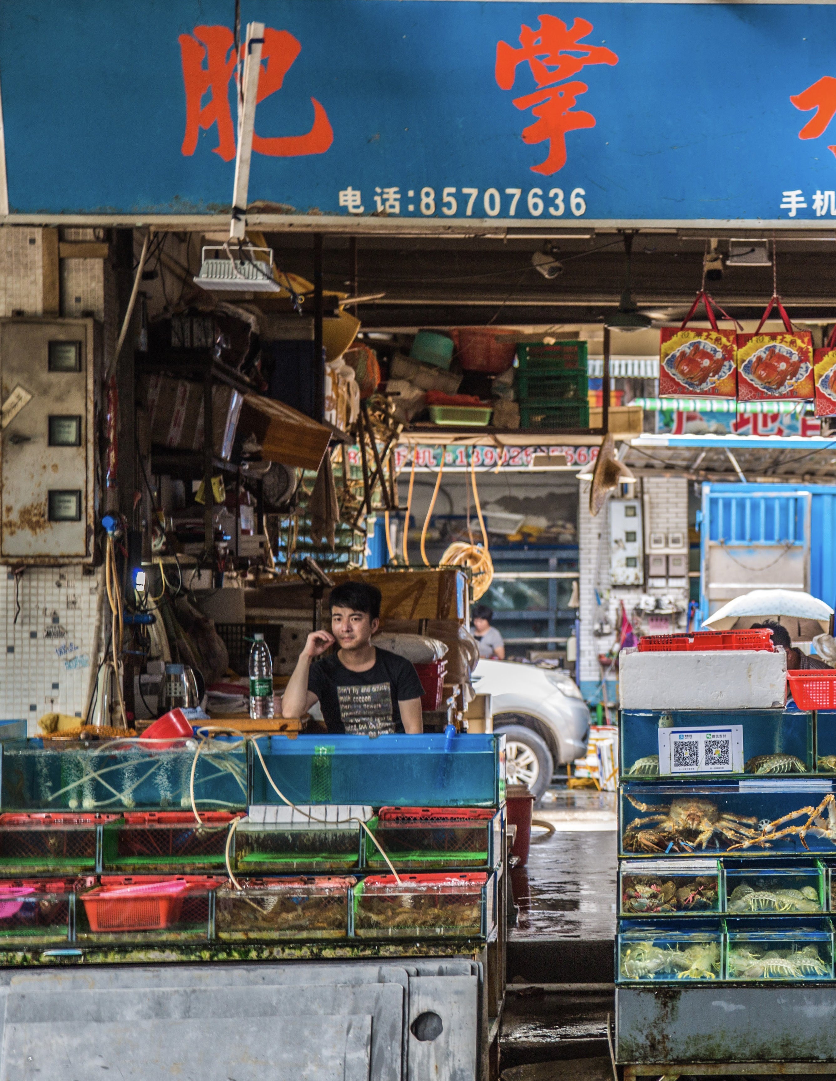 Young vendor sitting at a seafood stall surrounded by stacked illuminated glass tanks of live fish and shellfish under a blue market sign