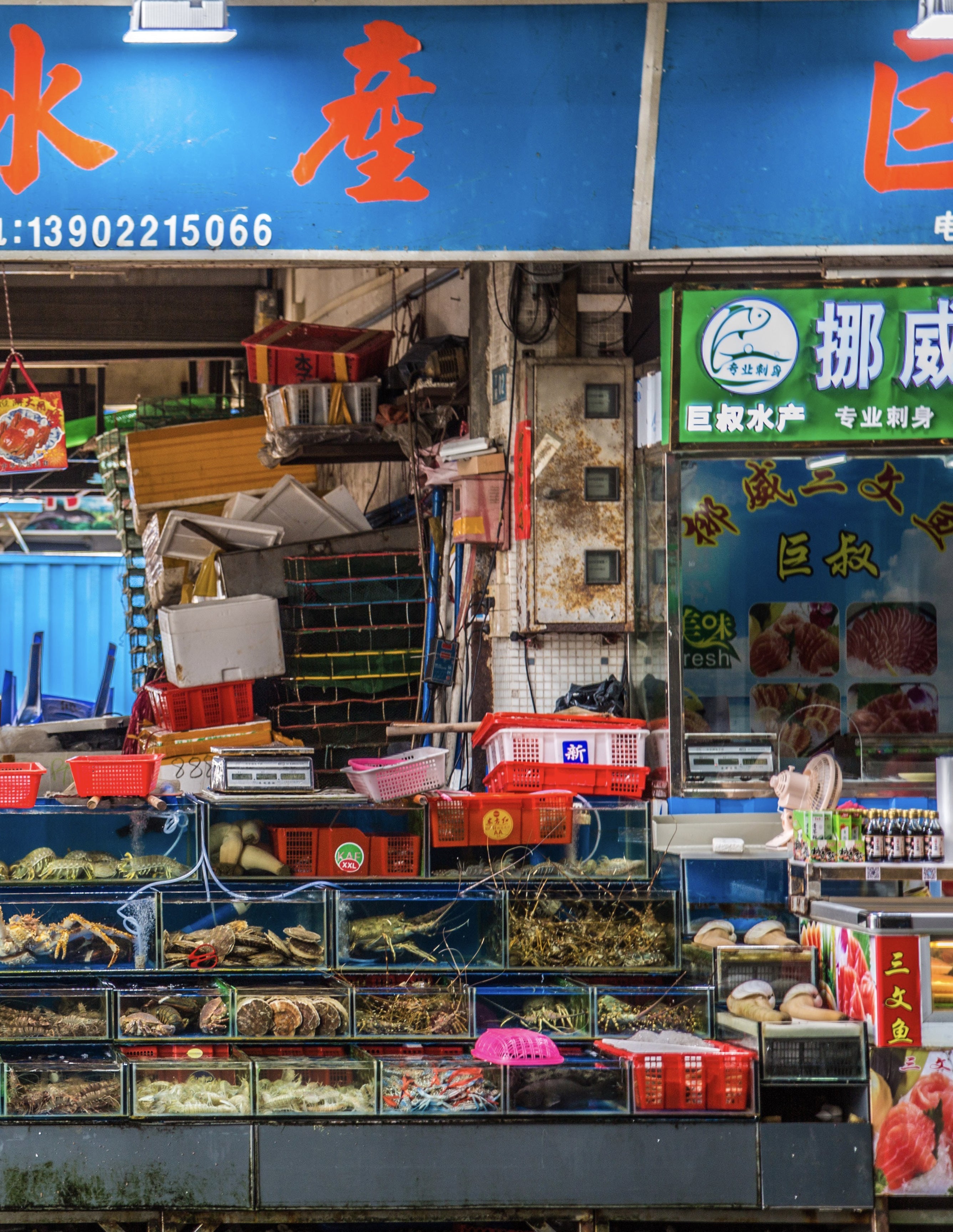 Colourful wet market seafood stall with stacked crates of live crabs and shellfish displayed below bold blue and green storefront signs