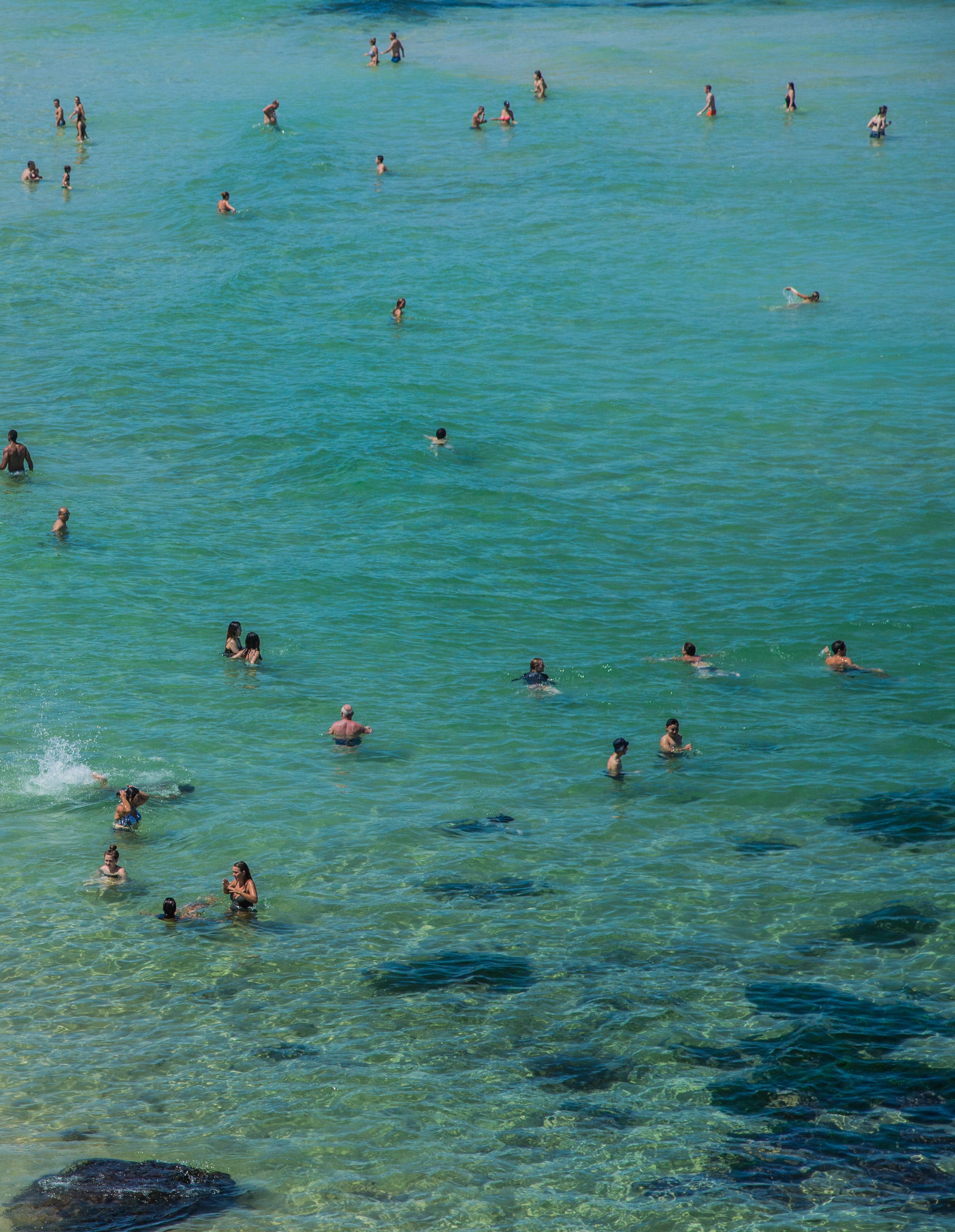 Aerial photograph of swimmers scattered across clear aquamarine ocean water over dark rocky reef near Bondi Beach