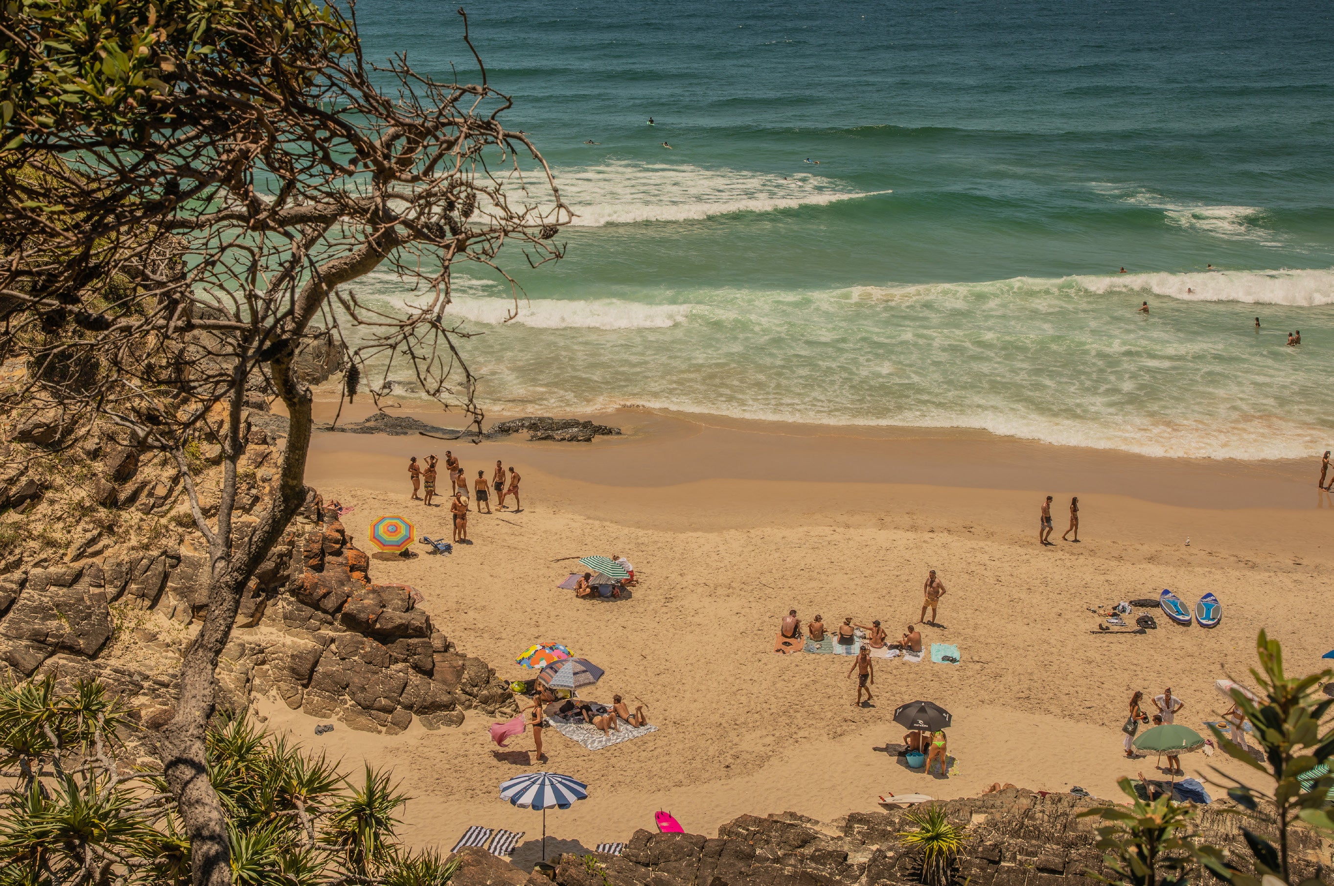 Elevated view of a busy golden sand beach with sunbathers, umbrellas and swimmers, framed by a tree branch and turquoise ocean