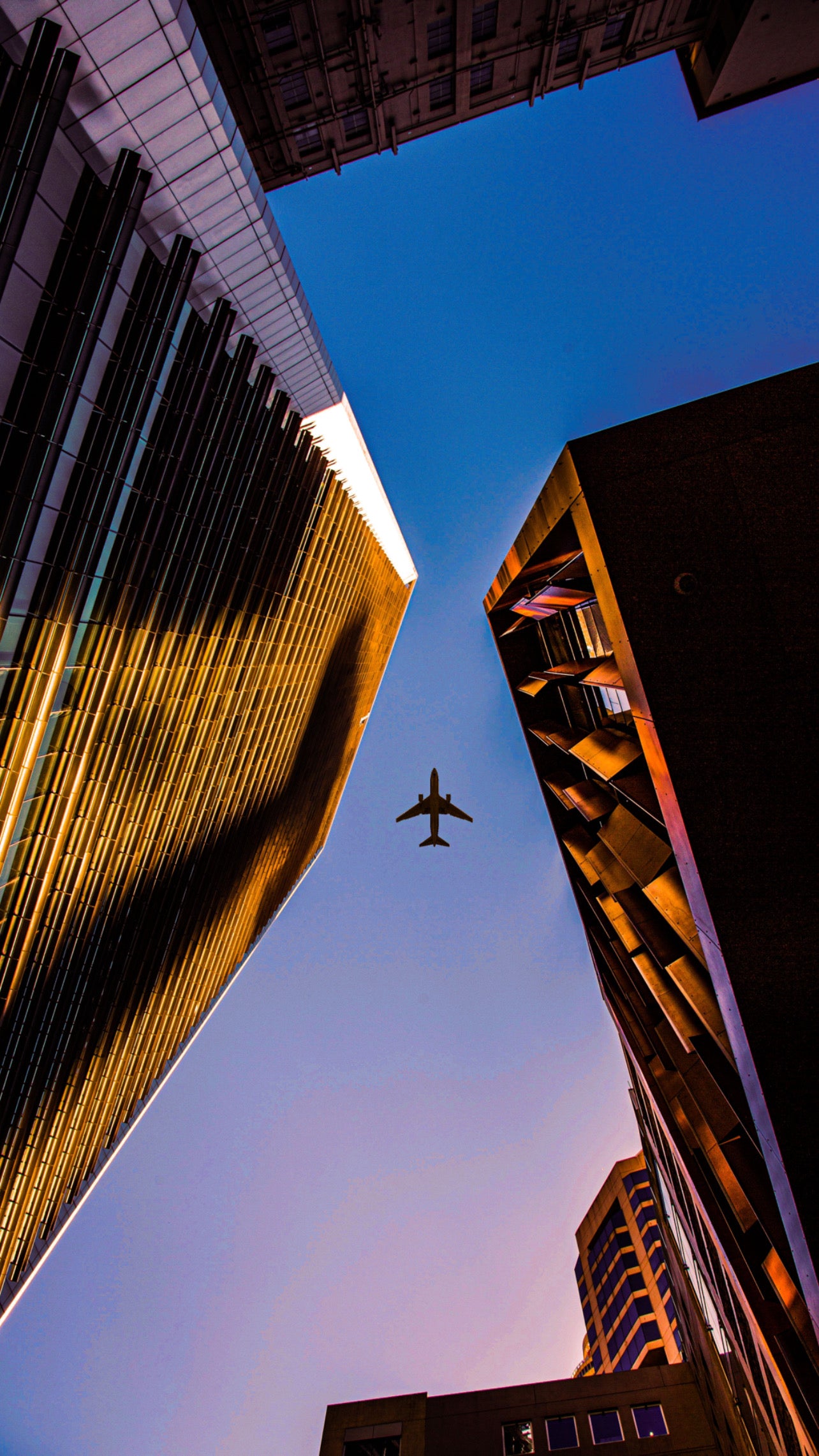 Flight Mode // Limited Edition