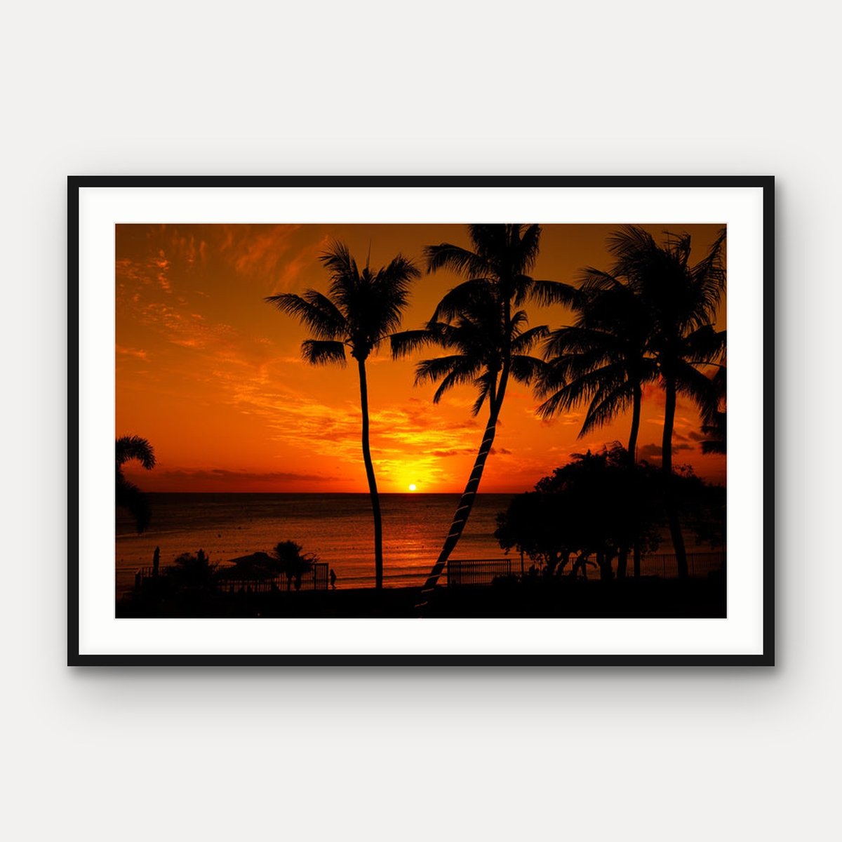 Palm Tree Sunset